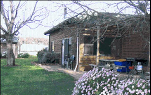 מרגרט ריבר Sunflowers Animal Farm & Farmstay חדר תמונה