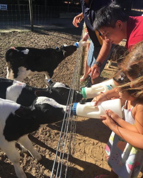 מרגרט ריבר Sunflowers Animal Farm & Farmstay מראה חיצוני תמונה