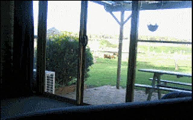 מרגרט ריבר Sunflowers Animal Farm & Farmstay מראה חיצוני תמונה