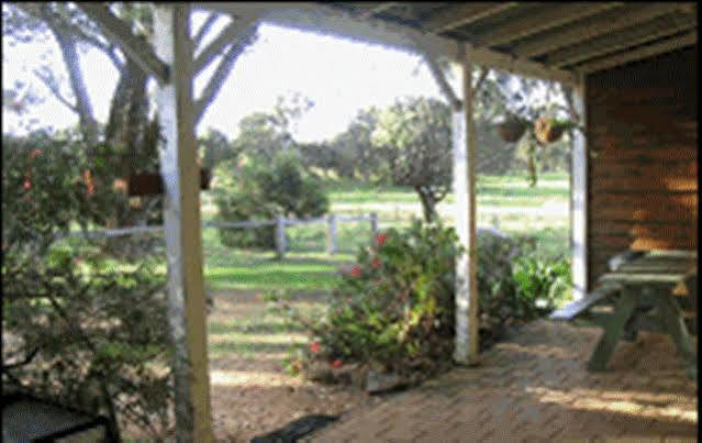 מרגרט ריבר Sunflowers Animal Farm & Farmstay מראה חיצוני תמונה